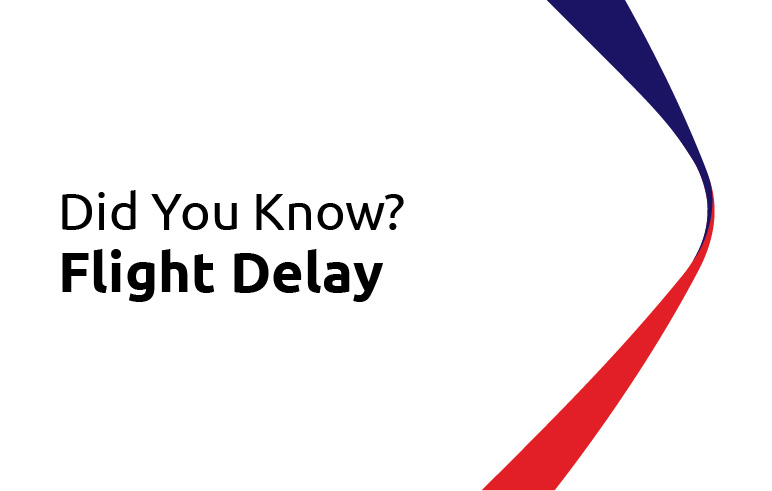 Did You Know? Flight Delay