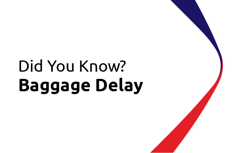 Did You Know? Baggage Delay
