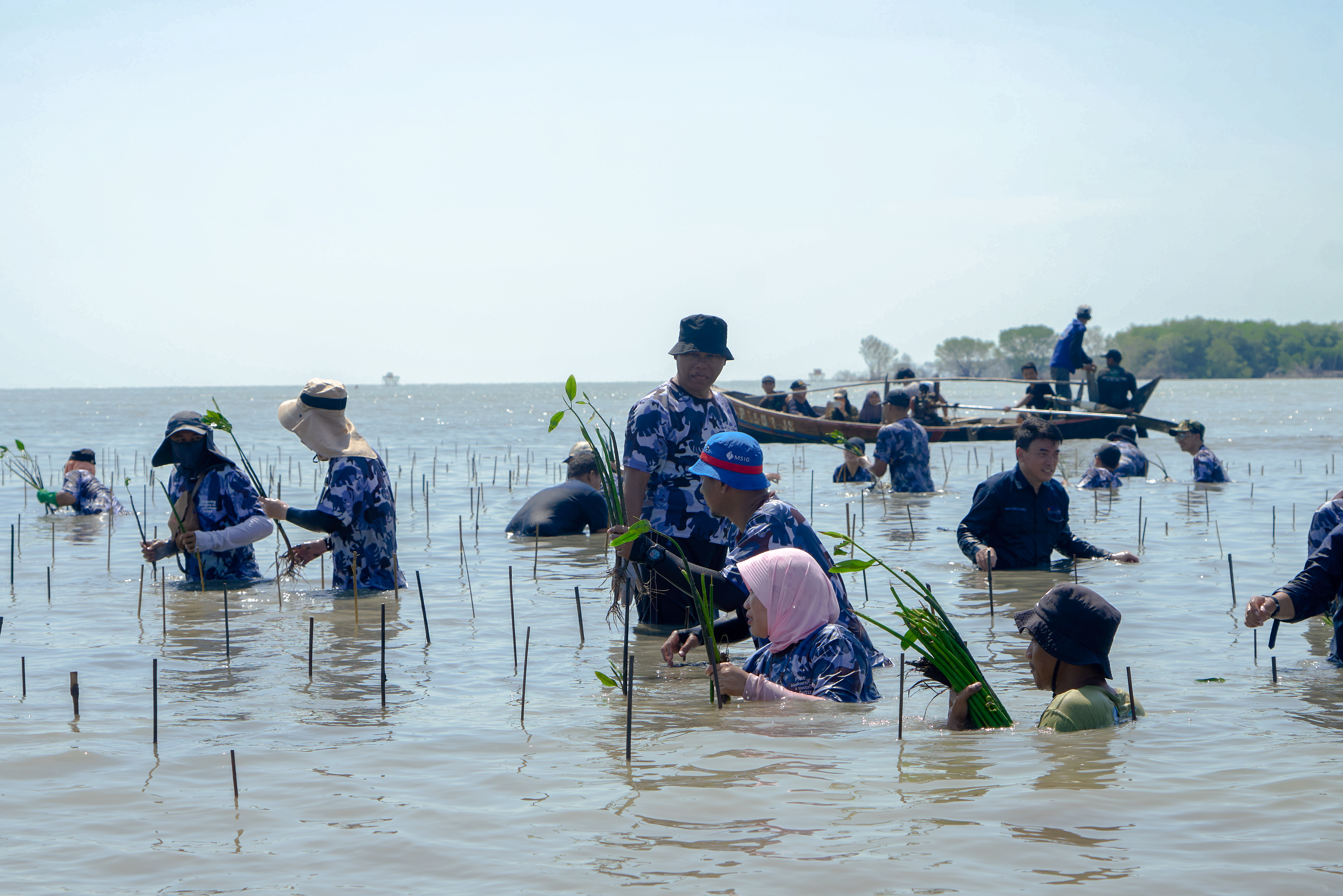  ​​​​ Mangrove Planting Activity by MSIG Indonesia