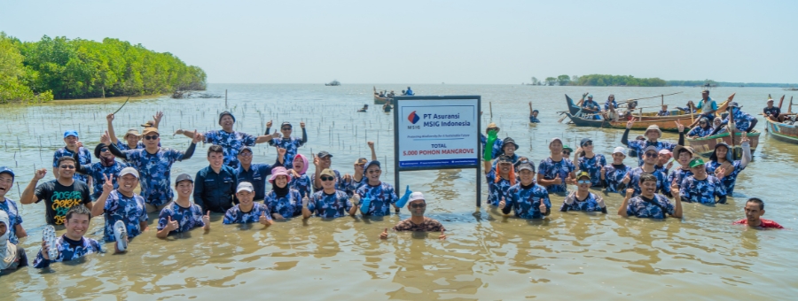 MSIG Indonesia Planted 5,000 Mangroves at Bahagia Beach