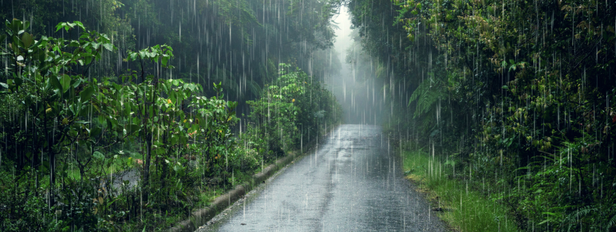 Entering the Rainy Season, Here are Five Cities in Indonesia with the Highest Rainfall
