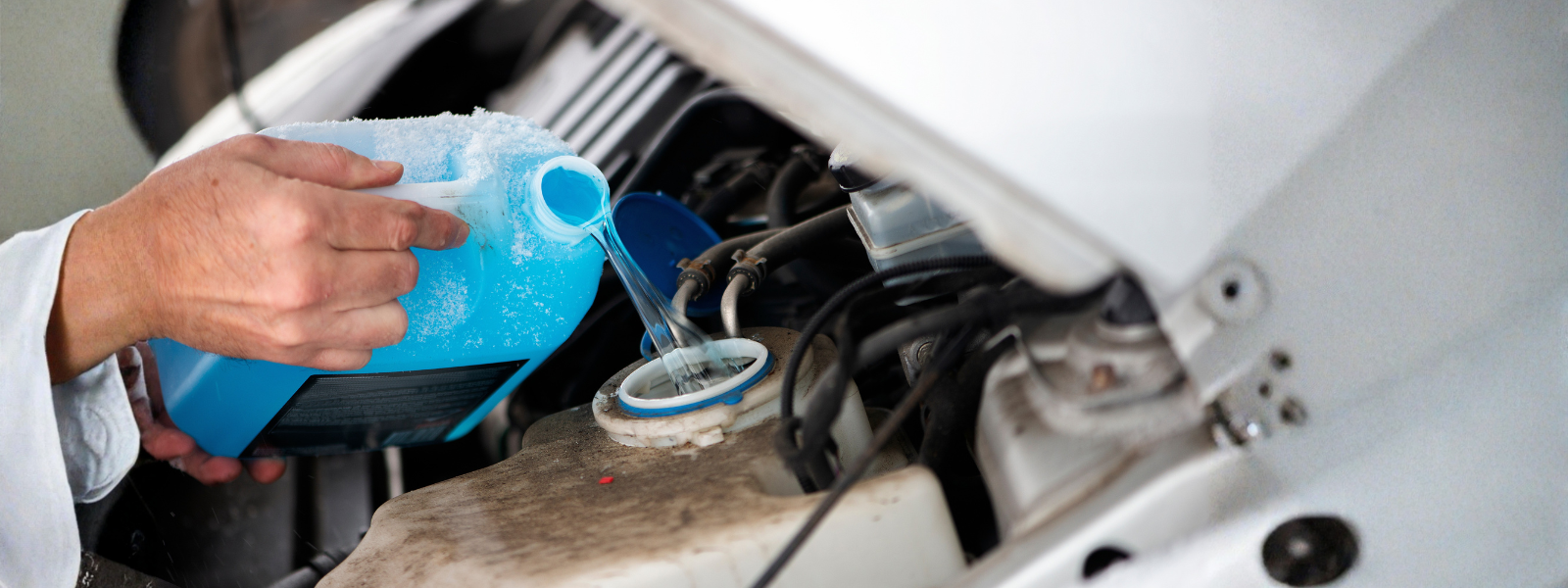 MSIG_Radiator coolant