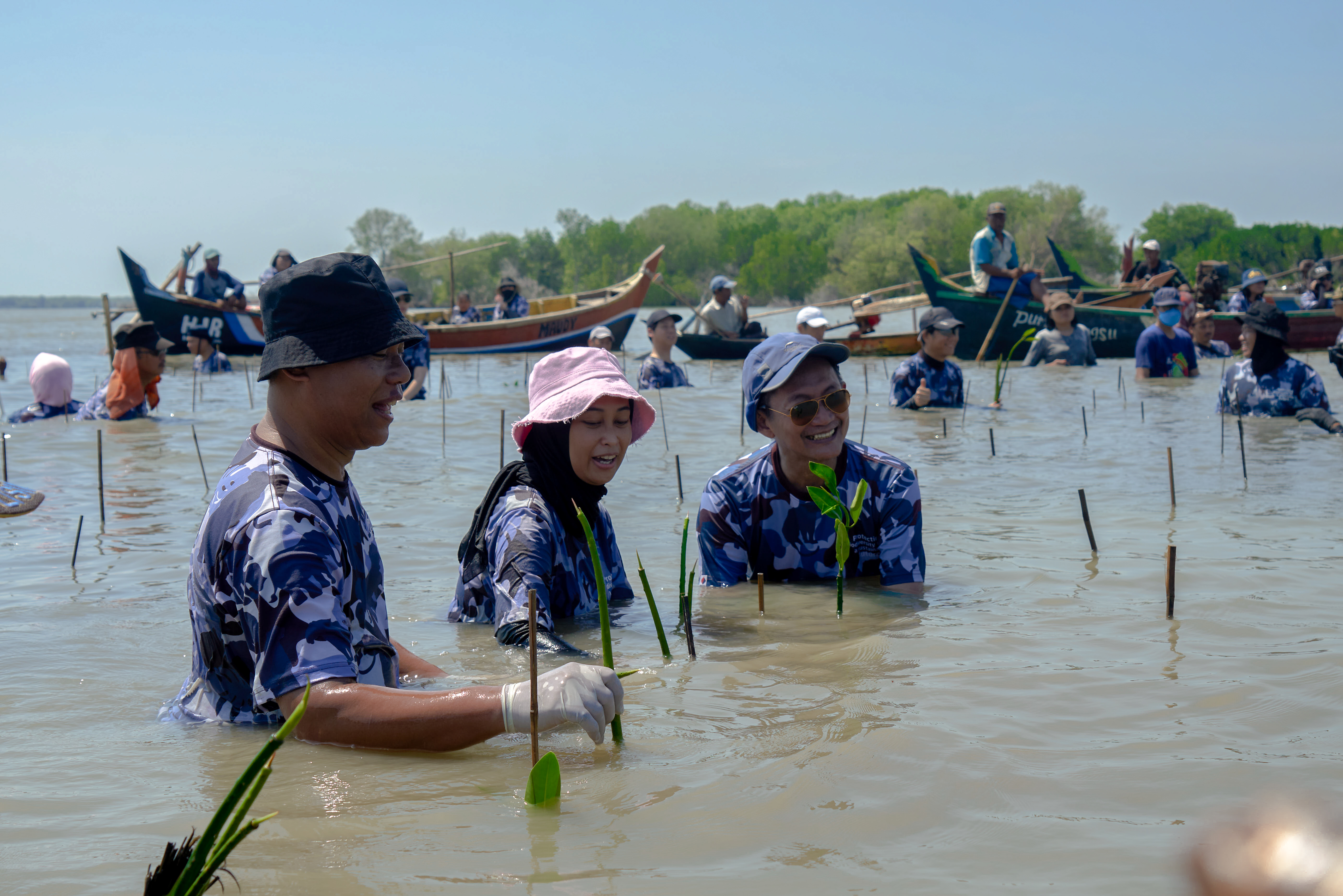  ​​Kegiatan Penanaman Bakau oleh MSIG Indonesia