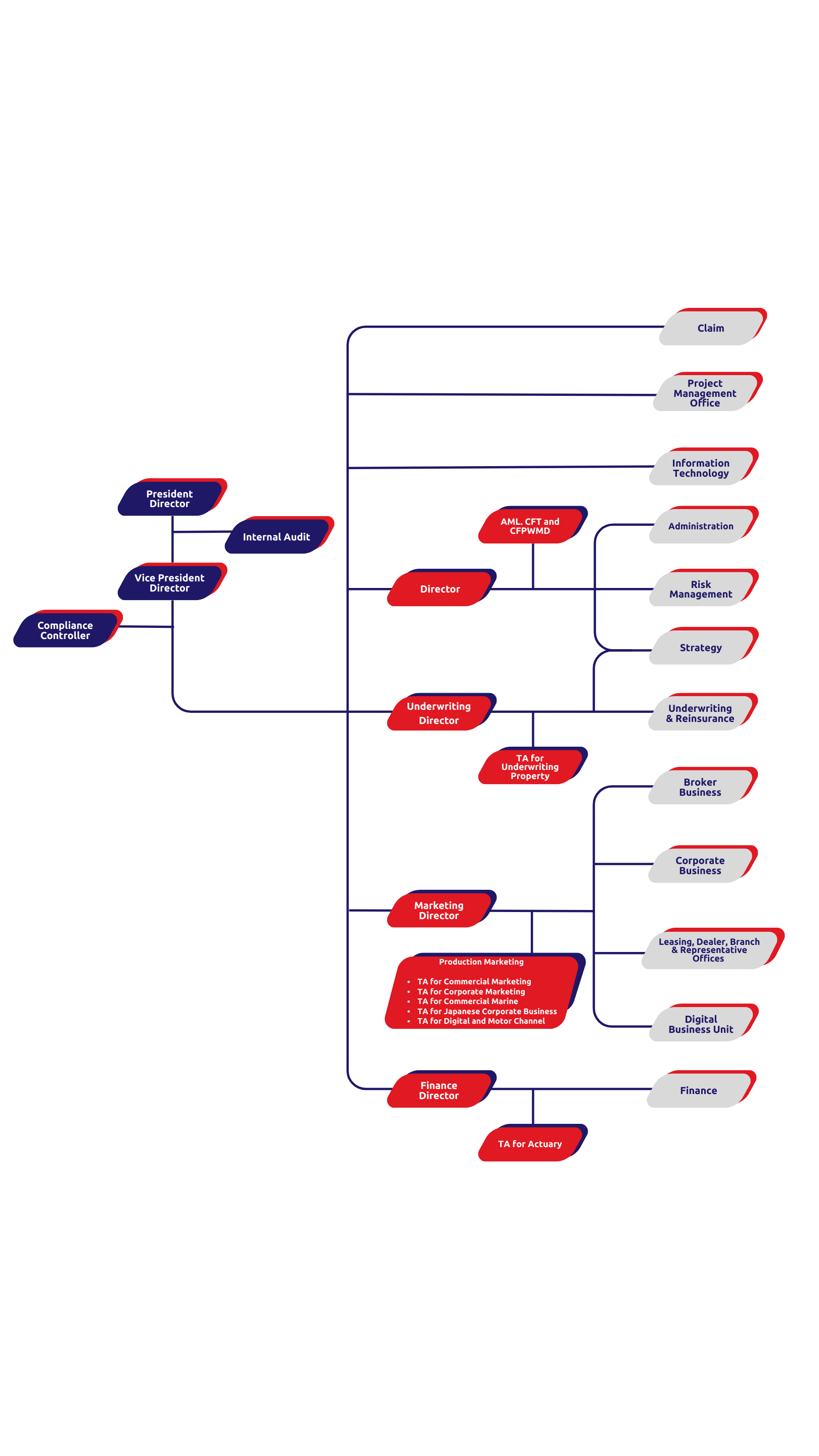 organization structure