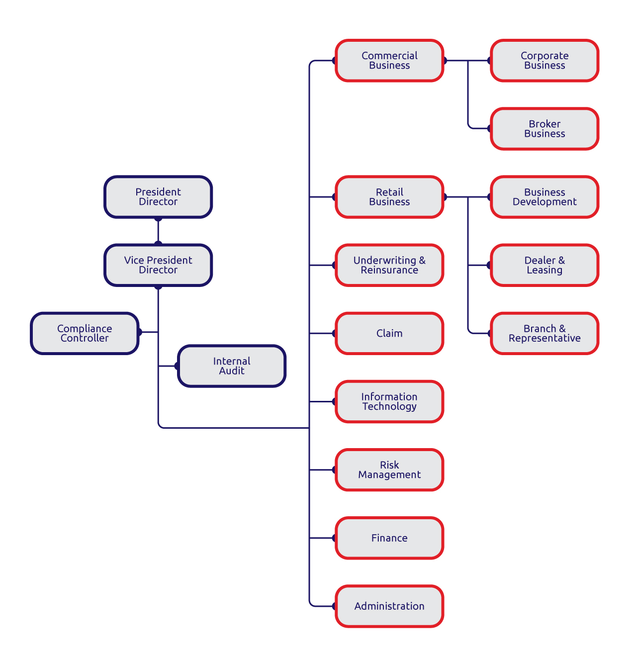 Company Structure