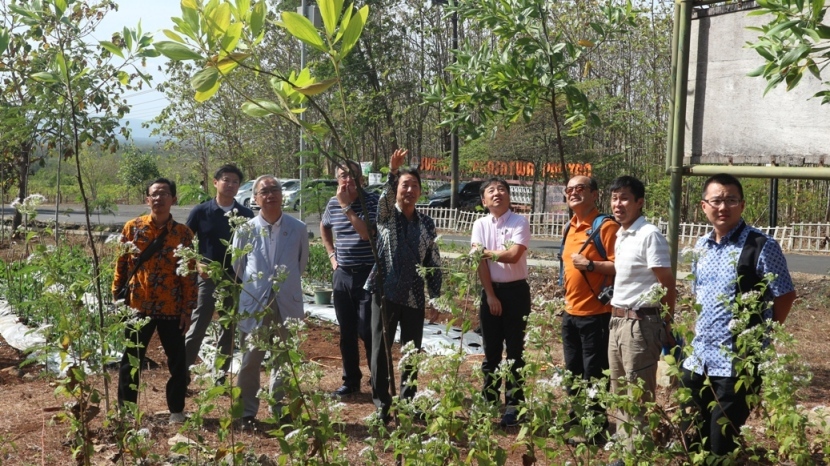 Paliyan Reforestation Project 2018 2