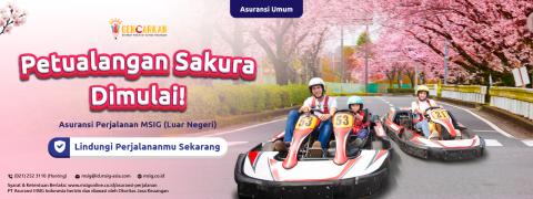 Bloom into Sakura Adventure! 