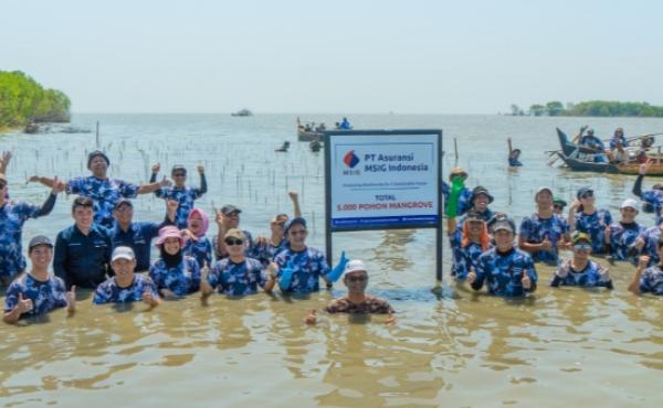 MSIG Indonesia Planted 5,000 Mangroves at Bahagia Beach