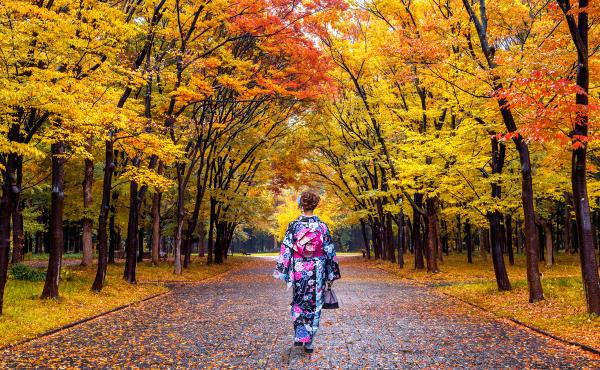 MSIG-woman-kyoto